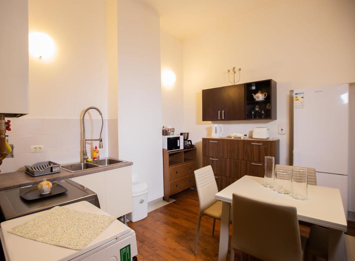 Alessia Apartment In The Old Town Тимишоара Экстерьер фото