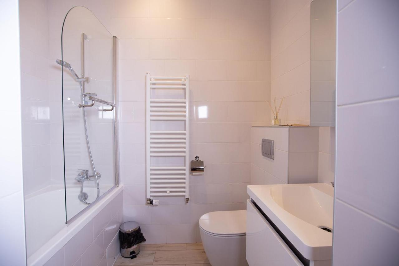 Alessia Apartment In The Old Town Тимишоара Экстерьер фото