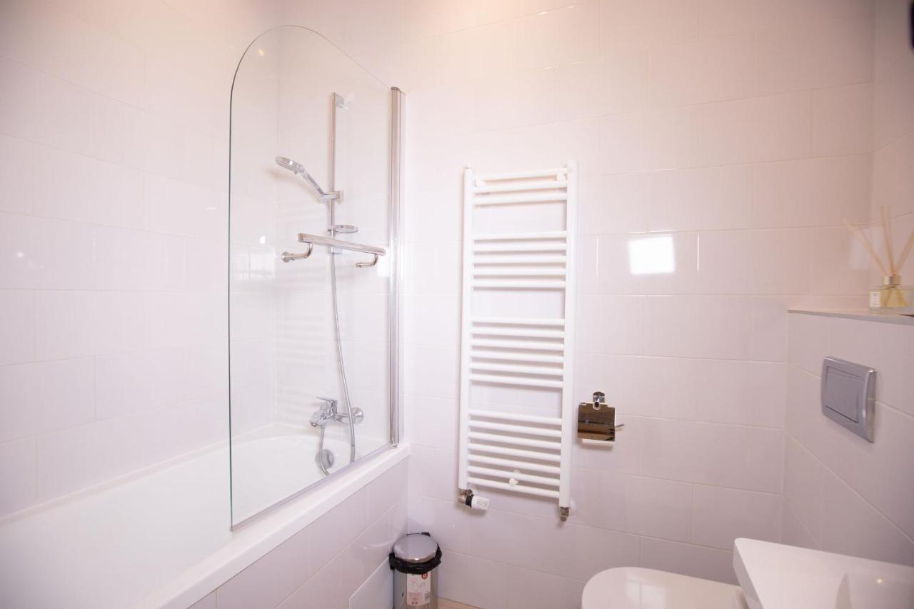 Alessia Apartment In The Old Town Тимишоара Экстерьер фото