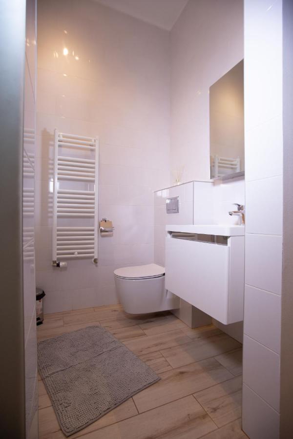 Alessia Apartment In The Old Town Тимишоара Экстерьер фото